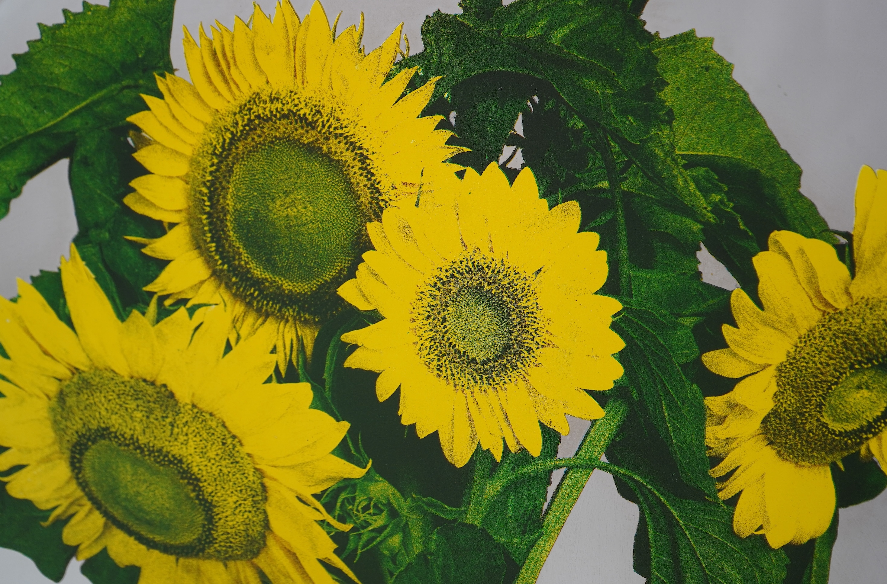 Michelangelo Pistoletto, Italian b. 1933, 'Girasoli (Sunflowers)'